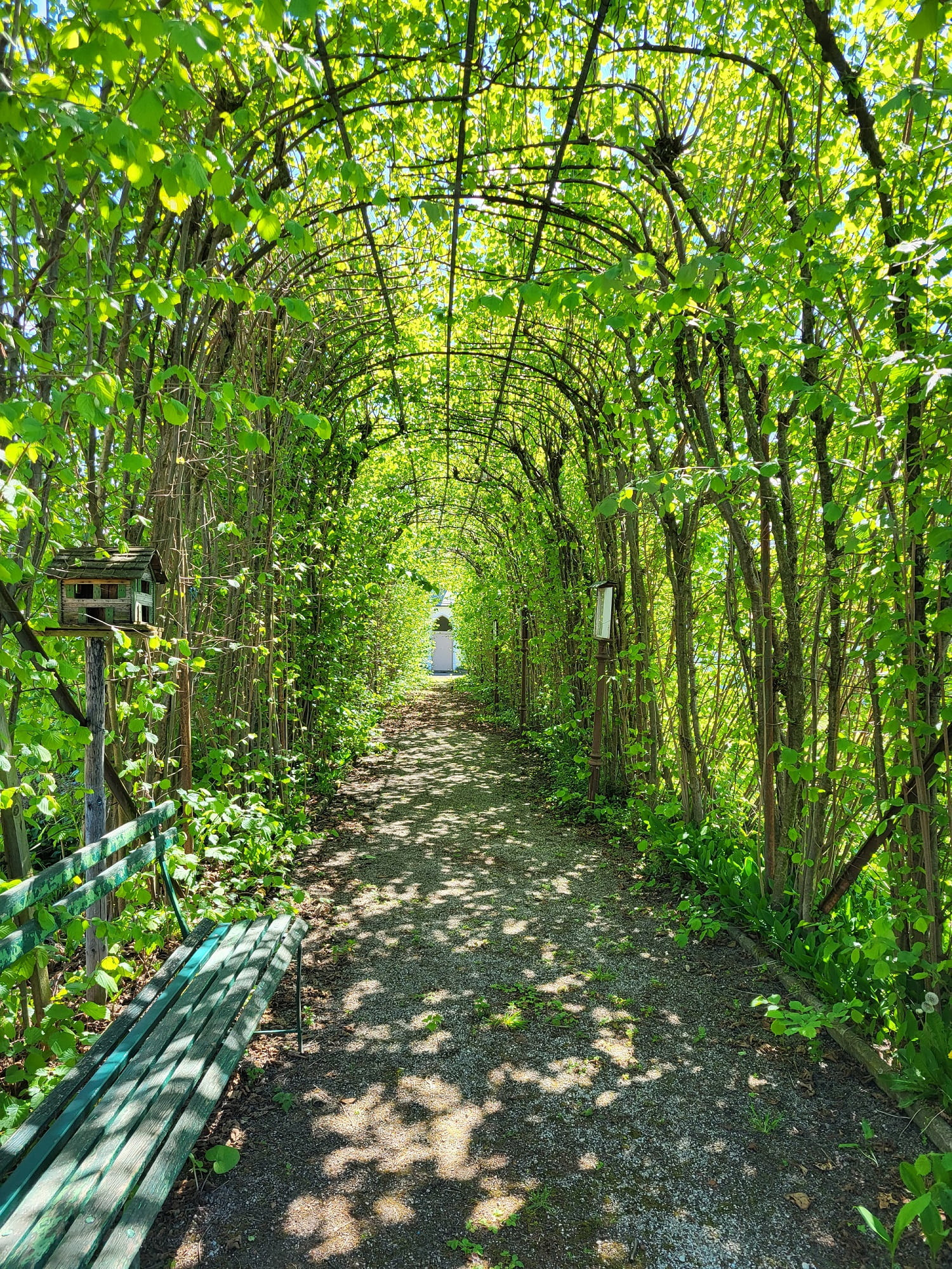 Laubengang im ehem. Klostergarten der Karmelitinnen